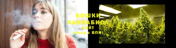PSILOCYBIN Аркадак