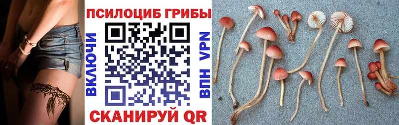 наркошоп  Белозерск  Псилоцибиновые грибы Magic Shrooms 